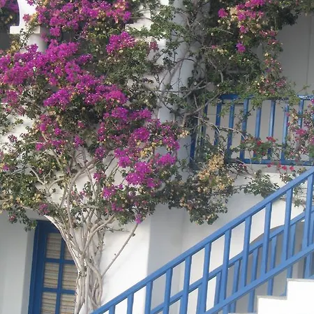 Bocamviglies By The Sea