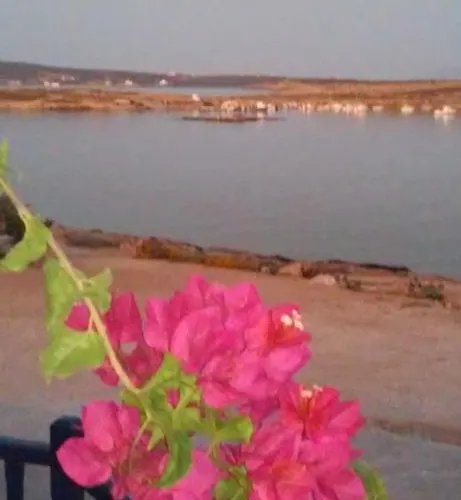 Bocamviglies By The Sea Nausa